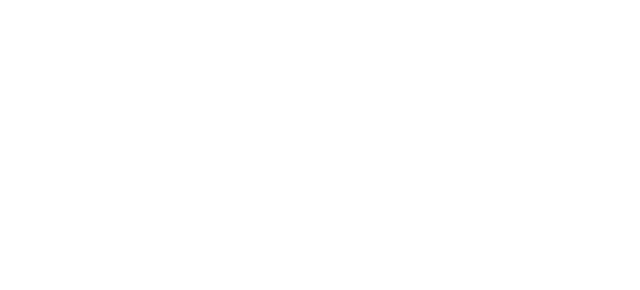 erste partner logo